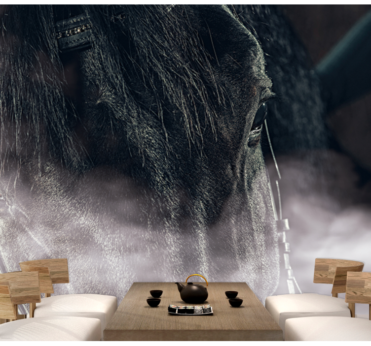 Majestätisk häst närbild Fototapeter djur - Tenstickers