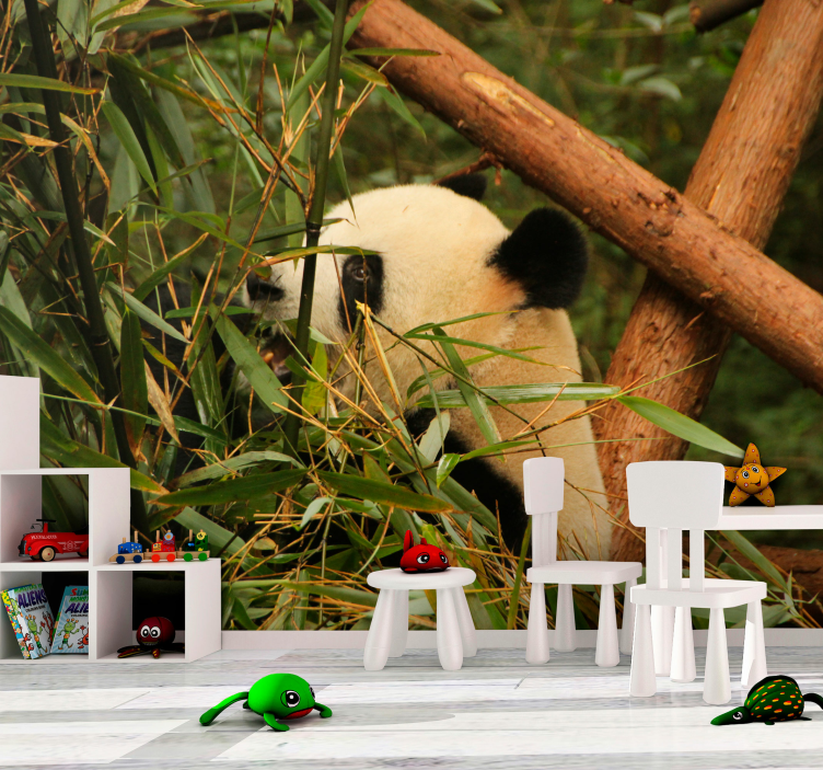 Panda bland bambu Fototapeter djur - Tenstickers
