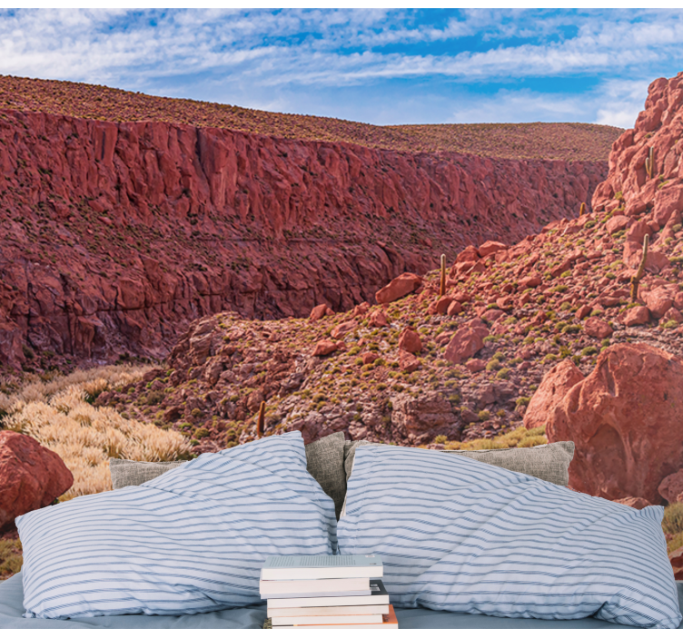 Röd ökenlandskap Fototapeter Fjäll - Tenstickers