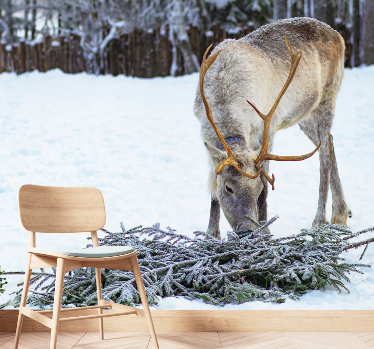 Snö med ren jul fototapet - Tenstickers
