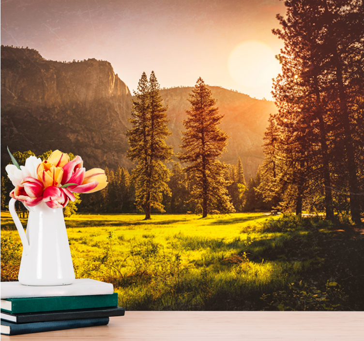 Solnedgången bakom träden skogen fototapeta - Tenstickers