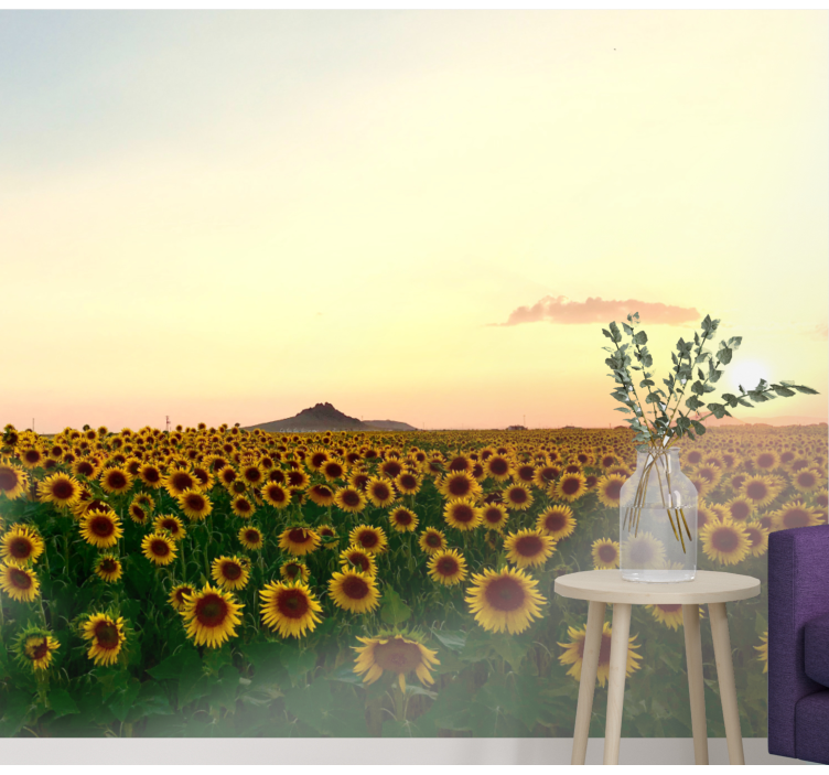 Solros fält fototapeta - Tenstickers