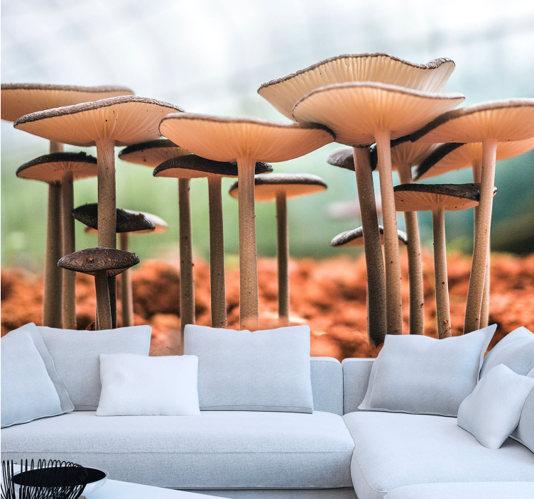 Svamp kluster scen Övriga fototapeter - Tenstickers