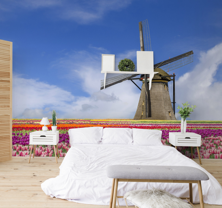 Tulpan fält och väderkvarn fototapet - Tenstickers