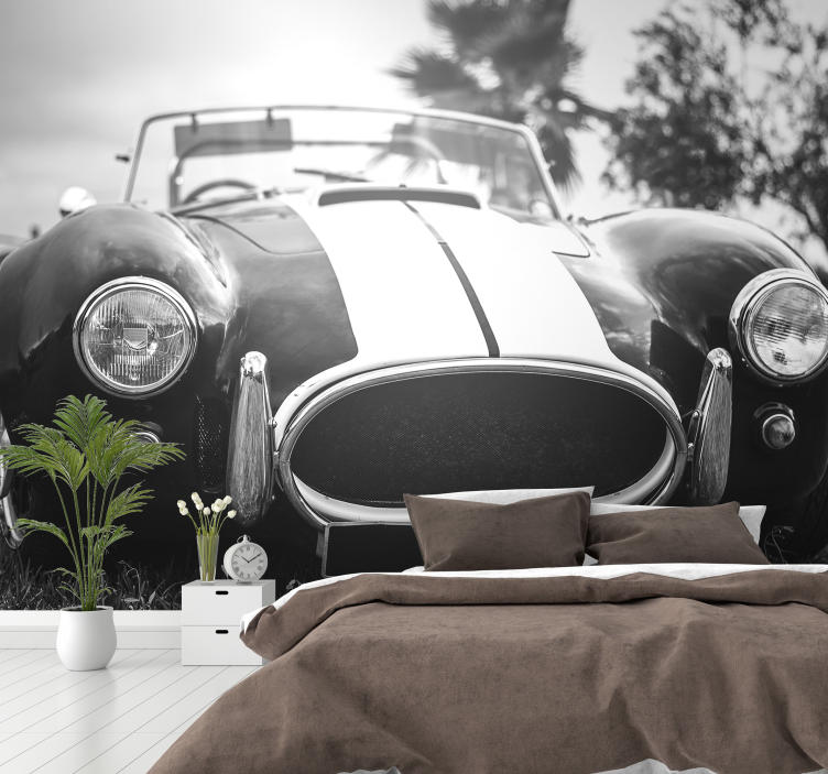 Vintage racerbil tapet - Tenstickers