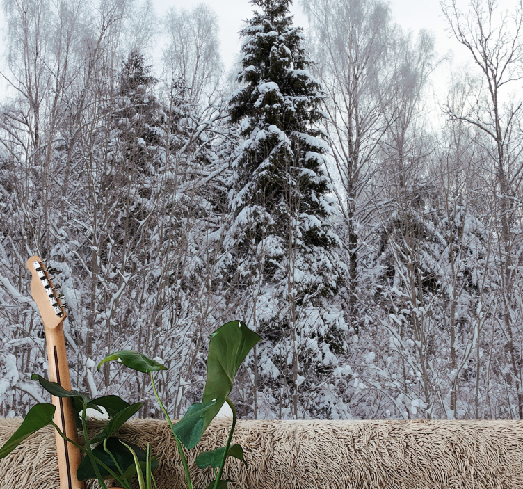 Vinterskogsscen Fototapeter Skogar - Tenstickers