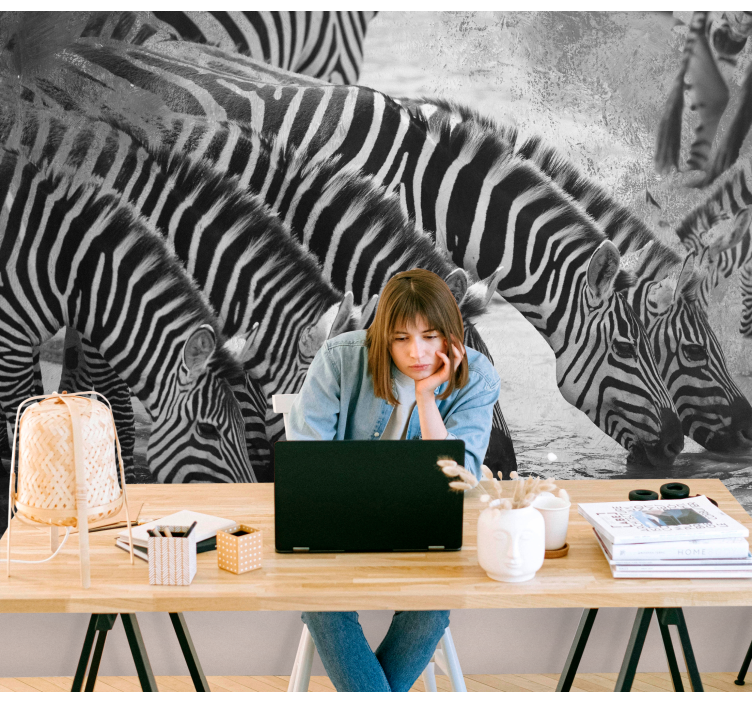 Zebror dricker vatten Fototapeter djur - Tenstickers