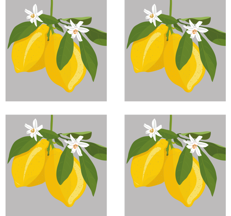 Citronträd citrusfartyg - Tenstickers