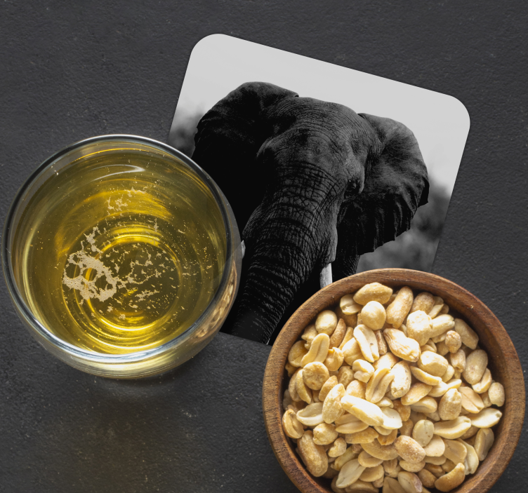 B & w elefanthuvud modern glasunderlägg - Tenstickers