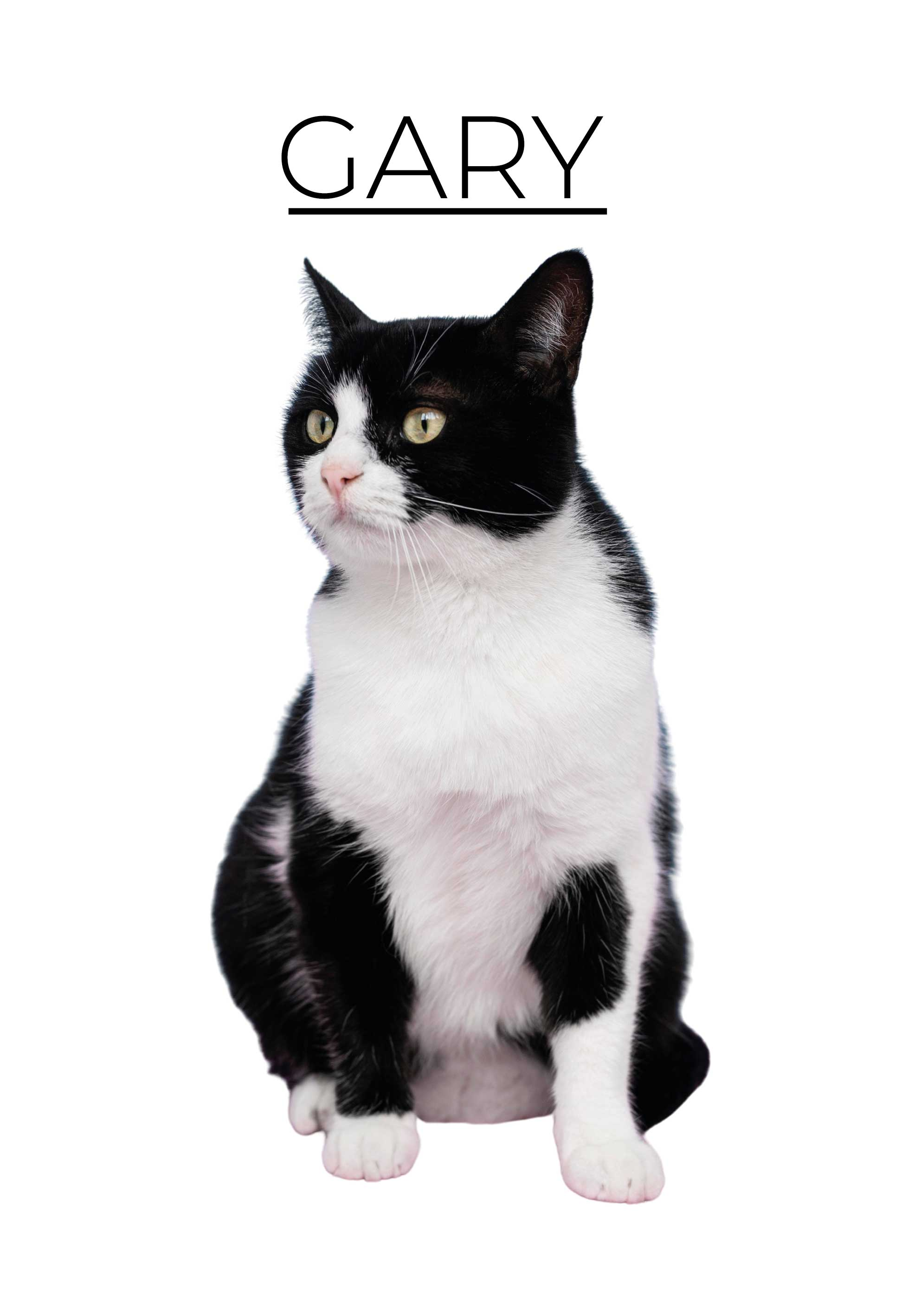 Personlig minimalistisk Poster andra djur - Tenstickers