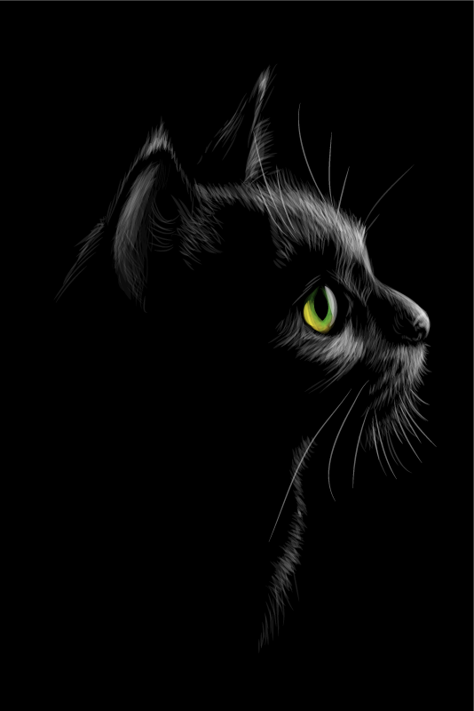 Poster vardagsrum gatos gröna ögon - Tenstickers