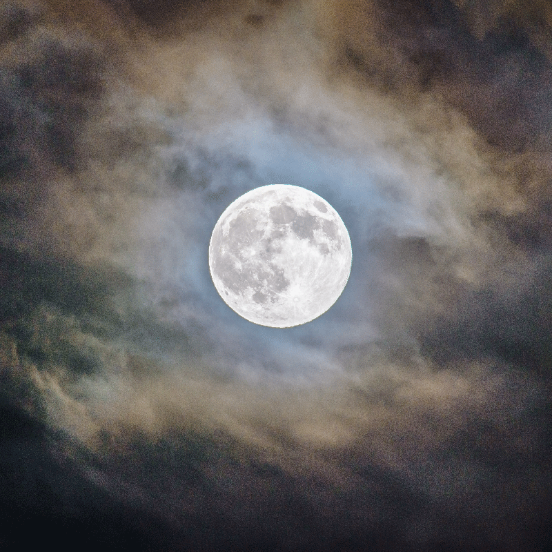 Poster vardagsrum fullmånenatt - Tenstickers