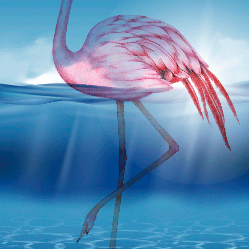 Poster vardagsrum design av flamingo under vattnet - Tenstickers