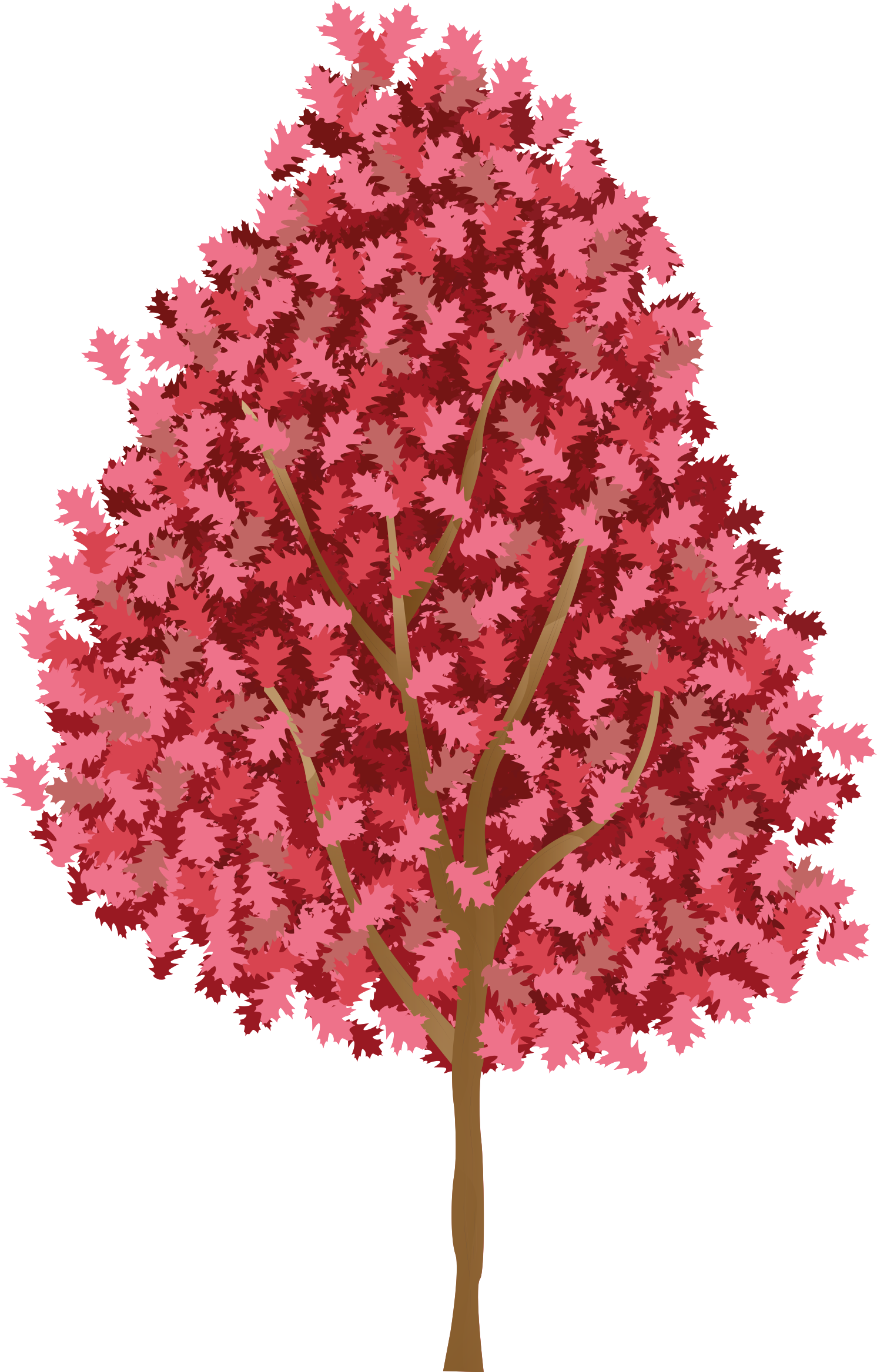 Poster trä med rosa blommor - Tenstickers