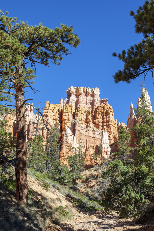 Affischer landskap bryce canyon - Tenstickers