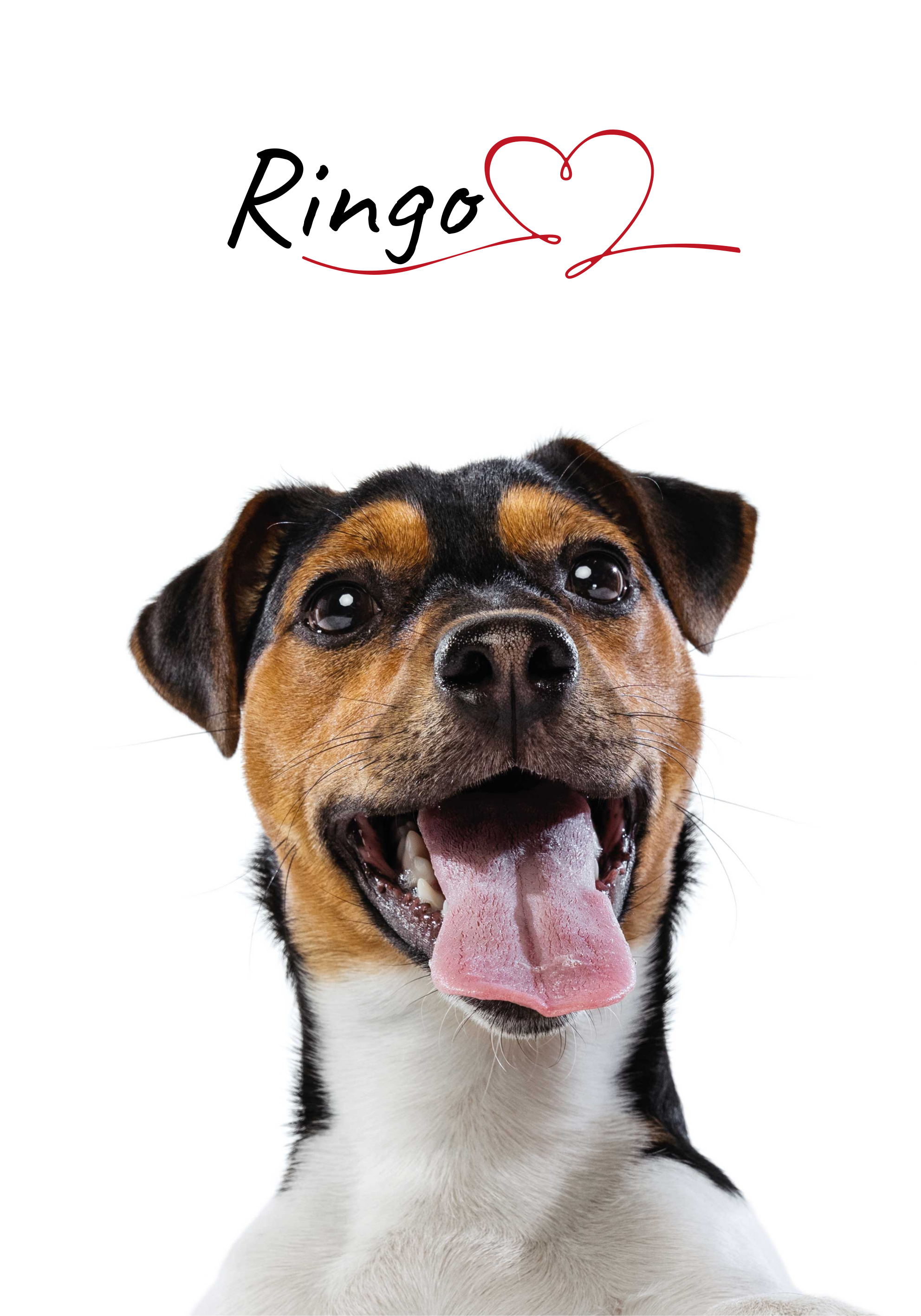 Anpassad hundkärleksaffisch för vägg - Tenstickers