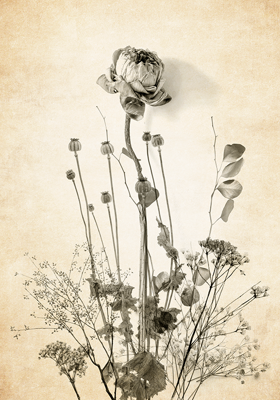 Bukett blommor på beige bakgrund Posters blommor - Tenstickers