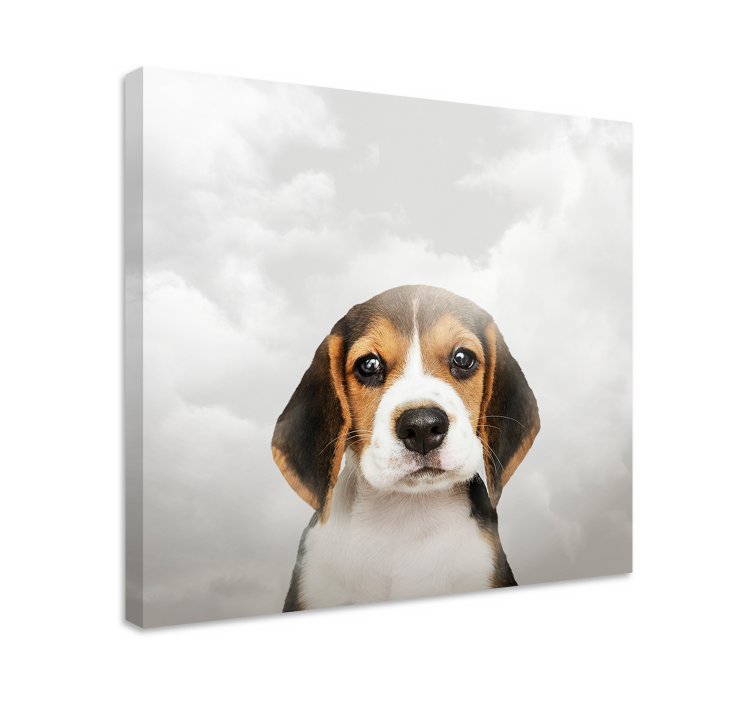 Kavas hundar beagleporträtt - Tenstickers