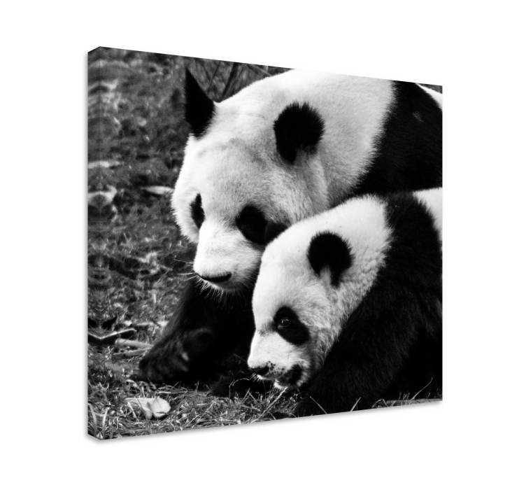 Mor och baby panda djur kanfas tryck - Tenstickers