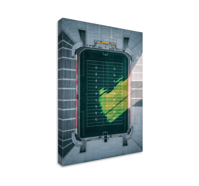 Kanvas sport flygande stadionvy - Tenstickers