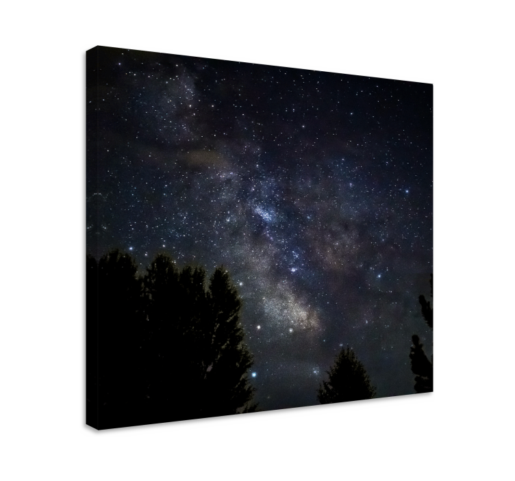 Natt stjärnhimmel landskapcanvas tavla - Tenstickers