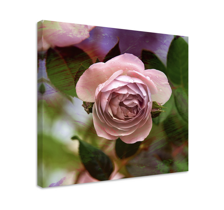 Kanvas blommor och växter rosa rosblomma - Tenstickers