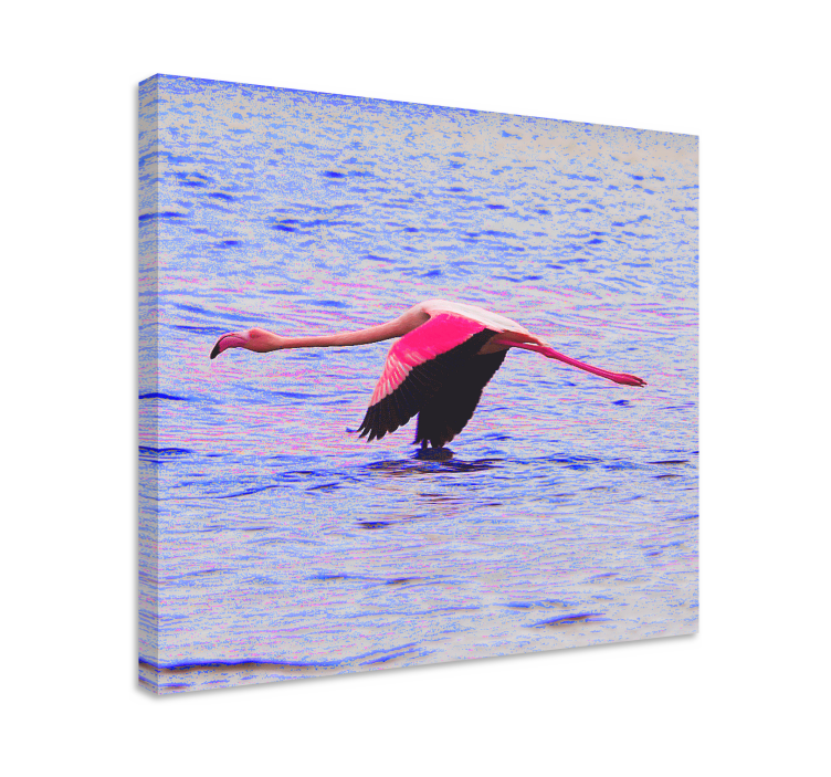 Kanvas fiskar flamingo i flykt - Tenstickers