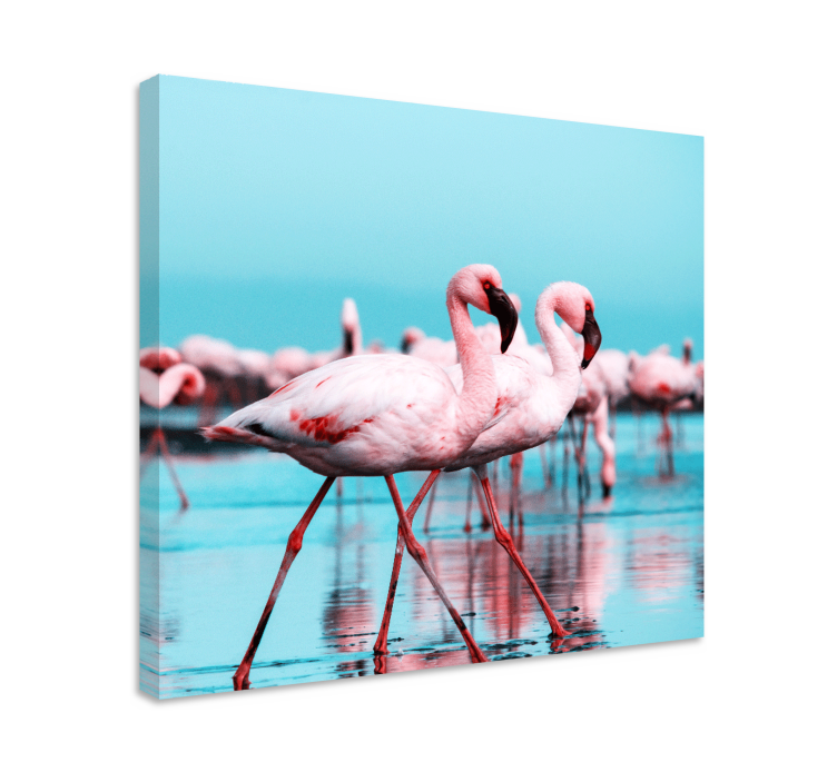 Kavas hundar majestätiska rosa flamingos - Tenstickers