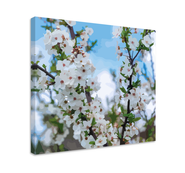 Blommande vita körsbärsblommorcanvas tavla - Tenstickers