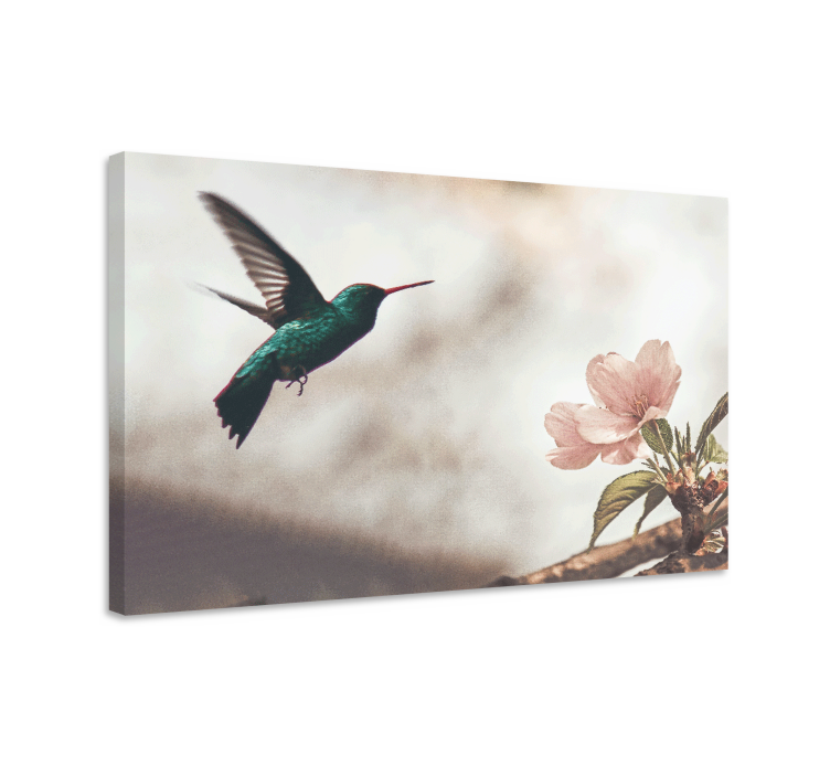Kanvas fåglar kolibri och blommor - Tenstickers
