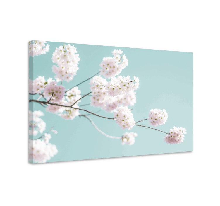 Kanvas blommor och växter sakura blomsterstängel - Tenstickers