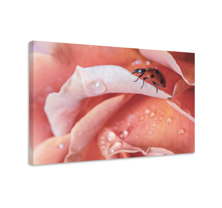 Kanvas blommor och växter nyckelpiga på ros - Tenstickers