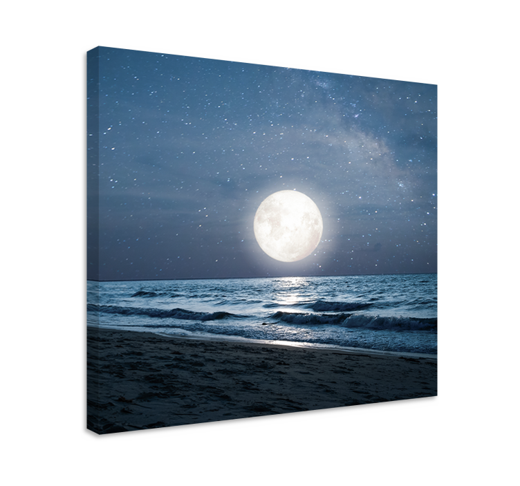Vackert månsken fullmåne landskapcanvas tavla - Tenstickers