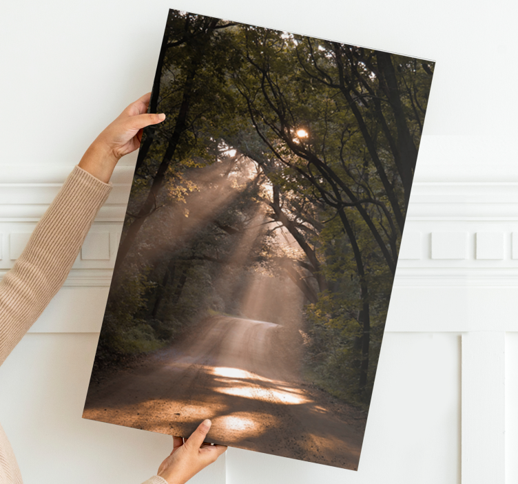 Kanvas landskap solig skogsstig - Tenstickers
