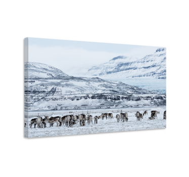 Kanvas dinosaurie renhjortshägn - Tenstickers