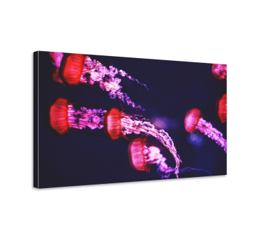 Maneter design djurcanvas tavla - Tenstickers