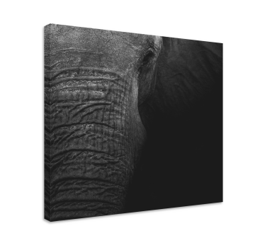 Elegant mörk olifant elefant kanfas konst - Tenstickers