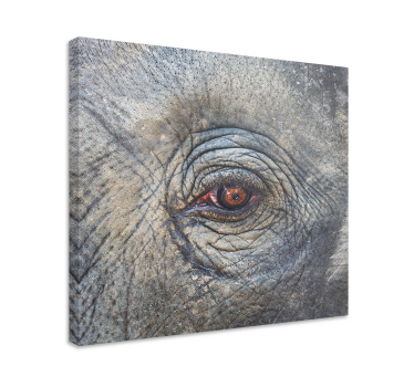 Elefant närbildcanvas tavla konst - Tenstickers