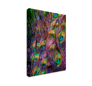 Påfågel fjäder fågelcanvas tavla canvas tavla - Tenstickers
