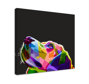 Regnbåge hund canvas bilder - Tenstickers