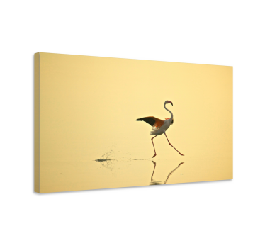 Kanvas fåglar elegant flamingodans - Tenstickers