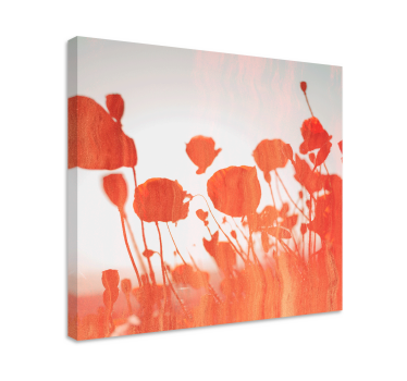 Varm polska vallmo blommigcanvas tavla - Tenstickers