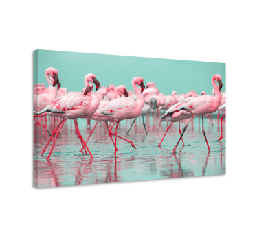 Flamingosamling Kanvas djur - Tenstickers
