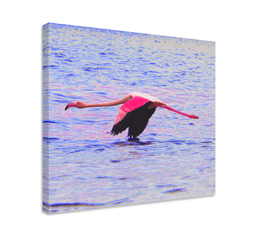 Kanvas fiskar flamingo i flykt - Tenstickers