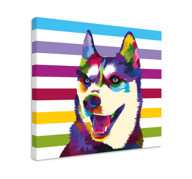 Kavas hundar färgglad huskyporträtt - Tenstickers