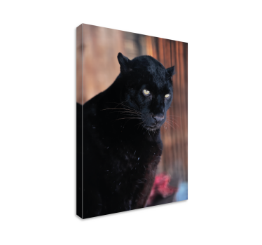 Leopard stalking 3d canvas bilder - Tenstickers