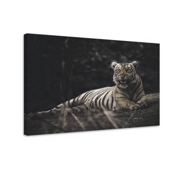 Kanvas djur majestätisk tiger vila - Tenstickers
