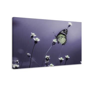 Elegant fjäril blomma design fjäril canvas bild - Tenstickers