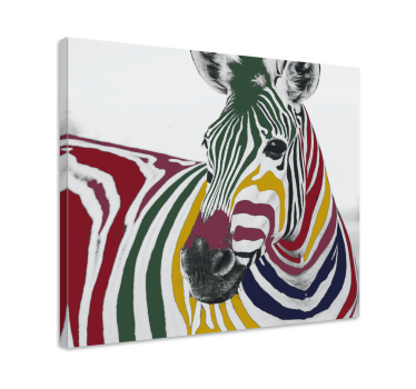 Kanvas djur färgglad zebra porträtt - Tenstickers