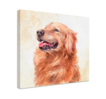 Akvarell stil hund canvas bilder - Tenstickers